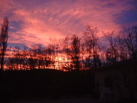 Galerie ebs- meine Bilder & Gedanken